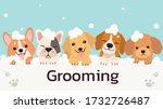 the banner group of cute dog...