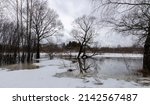 Small photo of River in flood. Landscape with a river. Trees in the water. Last year's grass on thawed patches. Thaw, melting snow.
