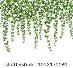 Green Ivy. Creeper Wall...