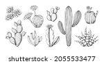cactus engraving sketch. hand... | Shutterstock .eps vector #2055533477