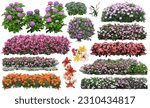 Small photo of Beautiful trees and flowers on a white background. It is convenient to cut and combine with other tasks.