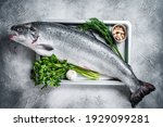 Small photo of Raw uncooked sea salmon whole fish in a tray with herbs. White background. Top view.