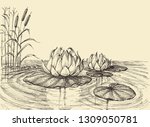 Water Lily On The Lake Vector...