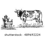 Cow And Milk Vector Set