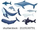 Set Of Marine Mammals Blue...