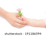 Small photo of To handsel carnation for Mother's Day