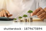 Small photo of A businessman holding a coin with a tree that grows and a tree that grows on a pile of money. The idea of maximizing the profit from the business investment.