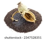 Poppy Seed Capsule with grated Poppy Seeds on white Background, Isolated.