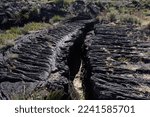 Small photo of Volcanic rock fissure in the Carrizozo Malpais lava field at Valley of Fires Recreation Area, New Mexico