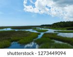 Marshes In Florida