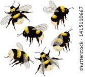 Set Of Bumblebees Isolated On...