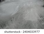 Small photo of Feather background. White fluffy feather. Beautiful soft and light white fluffy feathers. Softness and grace, purity and tenderness. Lightweight symbol. Swan Feather