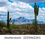 Apache Junction Arizona Superstition Mountains