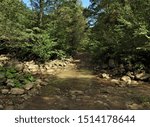 Small photo of wade through a mountain stream with a rocky bottom on a forest road