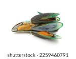Green Shell Mussels Isolated On ...