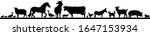 animal domestic farmer outline... | Shutterstock .eps vector #1647153934