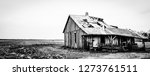 Small photo of Old farmhouse in black and white sitting in the middle of a cotton field. Gives an eerie feeling of past wrongdoings and hardships of African Americans.