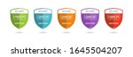 set of company training badge... | Shutterstock .eps vector #1645504207