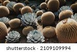 Small photo of A closeup of Golden barrel cacti and Parry's agave growing in a desert under the sunlight