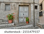 Small photo of A beautiful exterior shot of a gray door of an old house with pot plants in Patrica, a village in Frosinone, Italy