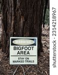 Small photo of A vertical shot of a warning sing in the forest: bigfoot area, stay on marked trails