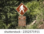 Small photo of A closeup of a sign of Bigfoot in a green forest