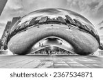 Small photo of Cloud Gate (The Bean) in Black and White