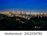 A nighttime aerial view of the downtown Los Angeles skyline from atop a hill of trees