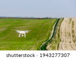 drone quadcopter on green corn field