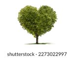 Green tree isolated in heart shape