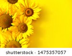 Sunflowers On A Yellow...