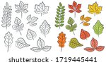 Vector Set Of Leaves Of...