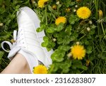 Small photo of Germany,Augsburg 06.08.2023 - woman in adidas shoes brand outside in green grass walking on tightrope for balance outdoor gym. girl ties the sneakers shoes.white adidas for women in dandelion field.