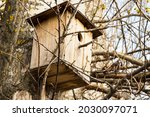 Birdhouse On Tree At Springtime....