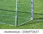 Small photo of Soccer gaol net and green grass
