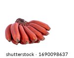 fresh red banana isolated on white background.  group of varieties of banana with reddish-purple skin. Musa acuminata Red Dacca. variety contains more beta carotene and vitamin C than yellow bananas.