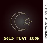 islam symbol. outline gold flat ... | Shutterstock . vector #313943114
