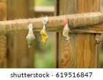 Small photo of Nymph butterfly in an artificial environment. Birth concept, nativity, nascency
