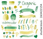 organic  bio  natural design... | Shutterstock .eps vector #263422154