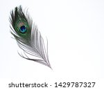 Clothing and home decoration. Peacock feather on white background.