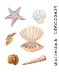 element of seashell. summer... | Shutterstock . vector #1393523624