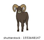 Detailed Standing Bighorn Sheep ...