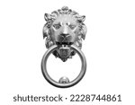 Head Of A Lion In Silver Color...