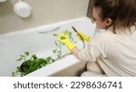 Small photo of To ward off disease and pests, a woman is utilizing a shower in her personal bathroom to wash the leaves of a plant. House plant Epipremnum aureum in a flower pot.