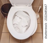 Small photo of The office toilet experienced a blockage due to excessive use of toilet paper, requiring immediate unclogging and cleaning to maintain hygiene standards