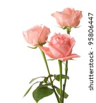 Three Pink  Roses Isolated On...