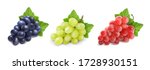 Different wine grapes. Green grapes, black and red pink muscatel grape banches 3d vector icon set.
