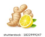 lemon and ginger root isolated... | Shutterstock .eps vector #1822999247
