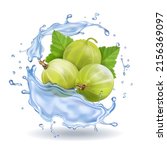 gooseberry fruit in water... | Shutterstock . vector #2156369097