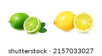 citrus fruits set. yellow lemon ... | Shutterstock .eps vector #2157033027